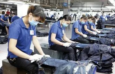 增城九村榮登中國淘寶村榜單，電商經濟助力鄉村振興