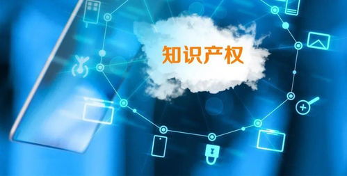 始于專注 精于創新丨國家高新技術企業 是資質，更是鞭策
